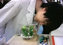保健室の先生画像